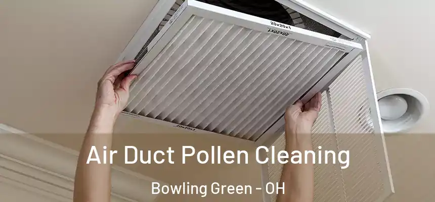  Air Duct Pollen Cleaning Bowling Green - OH