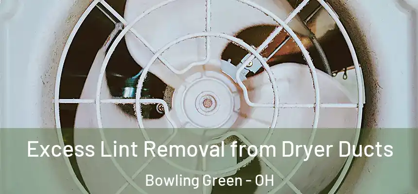  Excess Lint Removal from Dryer Ducts Bowling Green - OH
