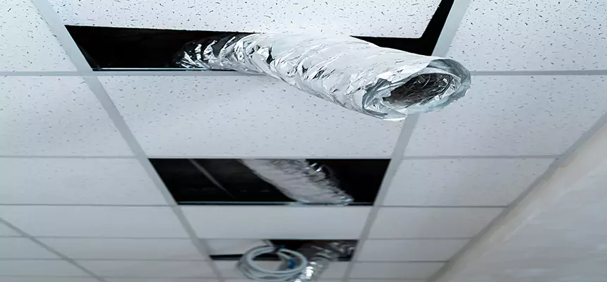 Our Air Duct Pet Hair Removal Services in Bowling Green, OH