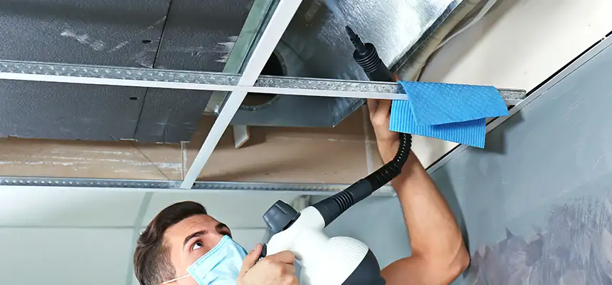 Our Air Duct Rodent Removal Services in Bowling Green, OH