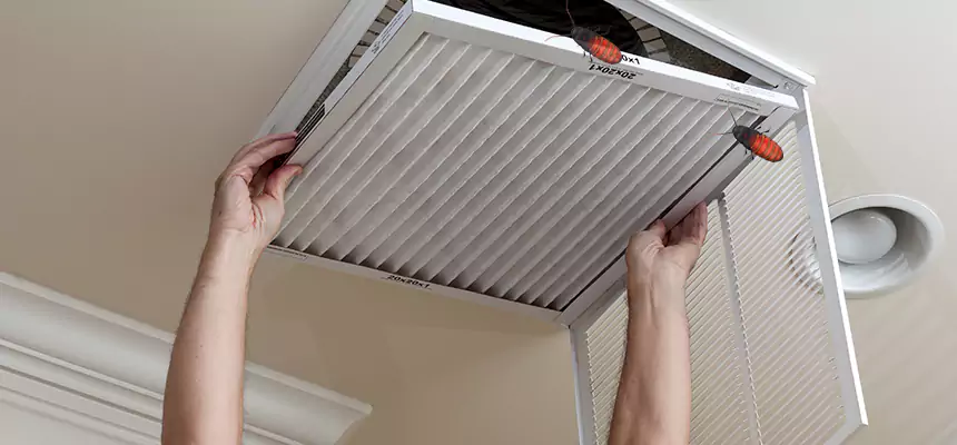 Our Insect Removal from Air Ducts Services in Bowling Green, OH