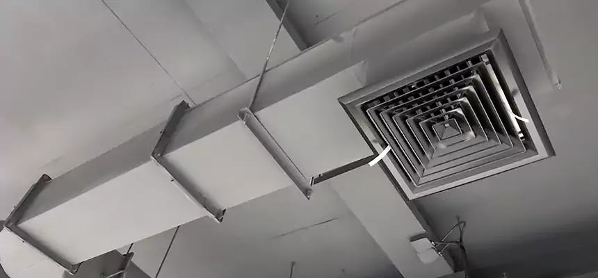 Our Pest Removal From Ducts Services in Bowling Green, OH