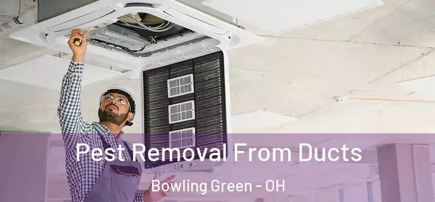  Pest Removal From Ducts Bowling Green - OH