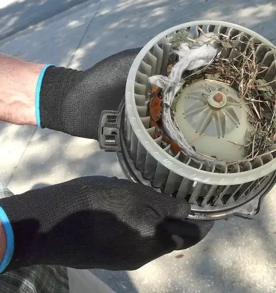 About Air Duct Mice Removal in Bowling Green, OH