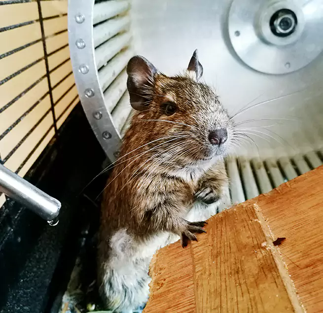 Why Homeowners & Businesses Trust Us Bowling Green, OH